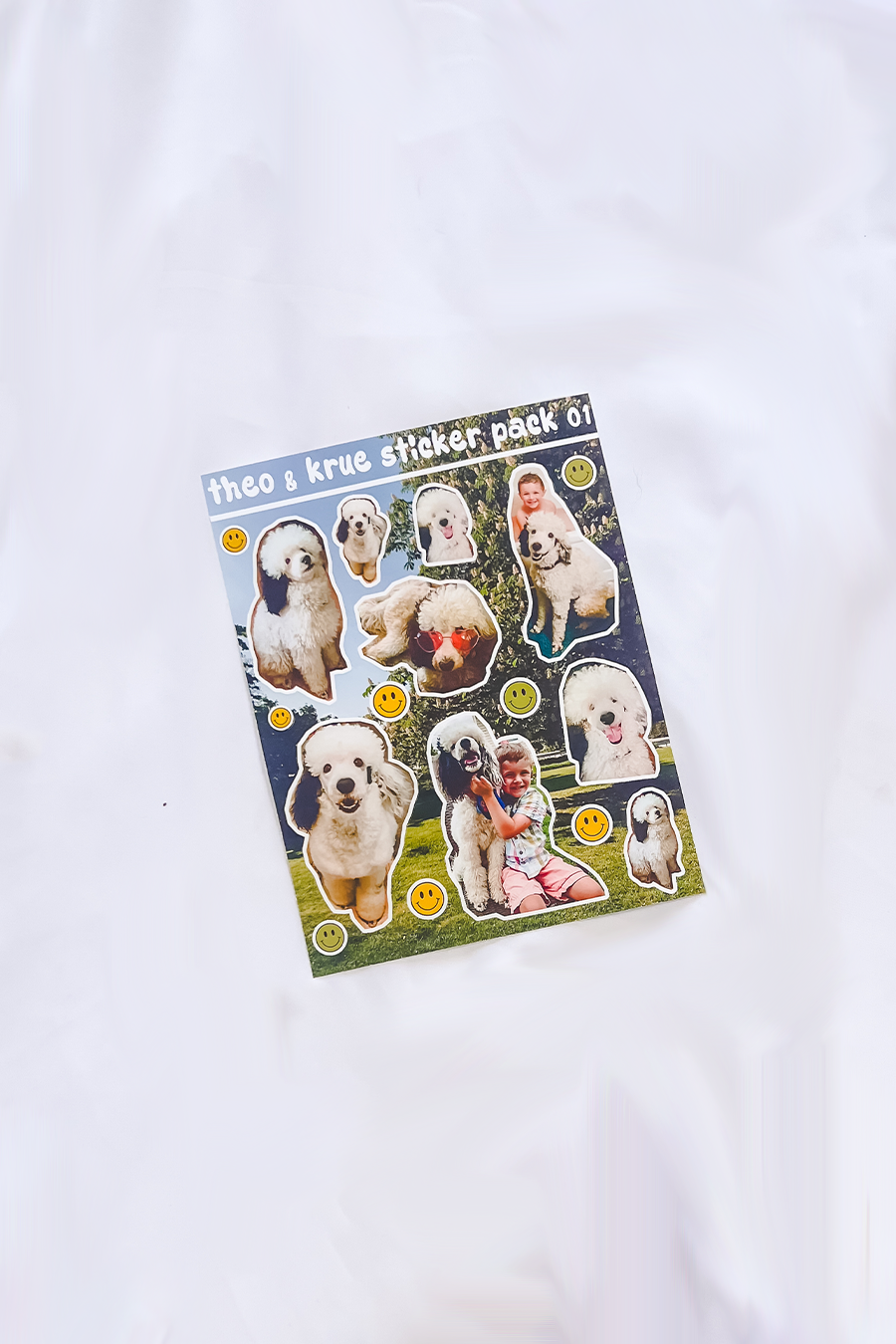 Custom Pet Sticker Sheet #1