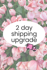 2 Day Shipping upgrade