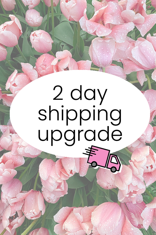 2 Day Shipping upgrade