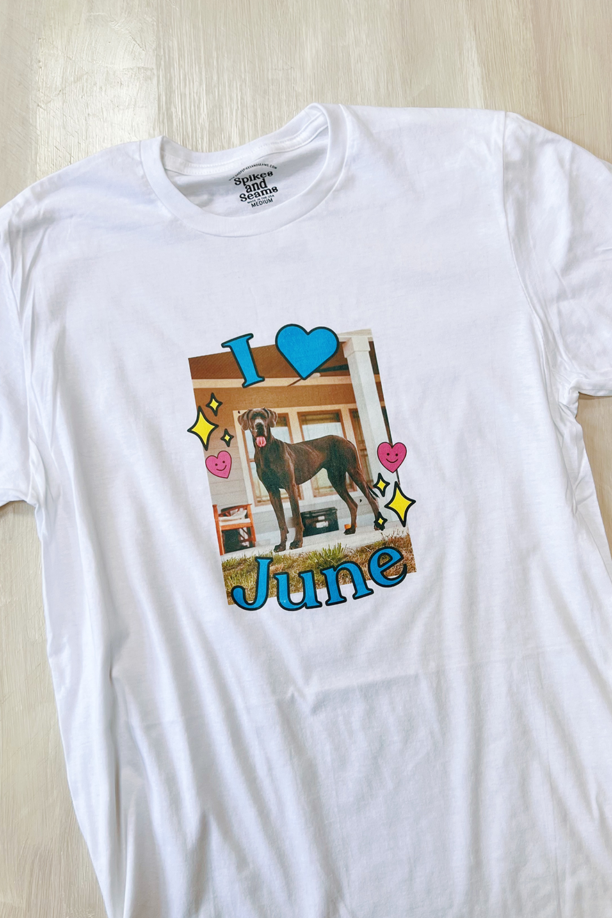 Custom "I Love my Pet" tee