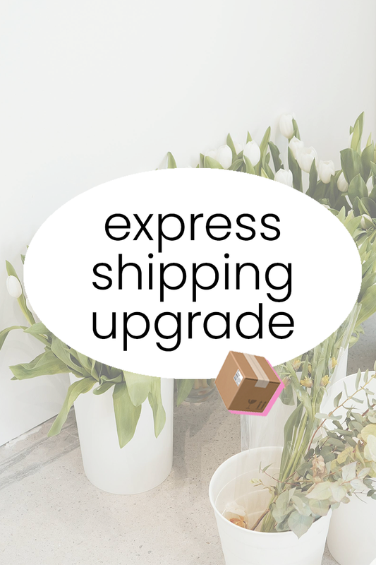 Express Shipping upgrade