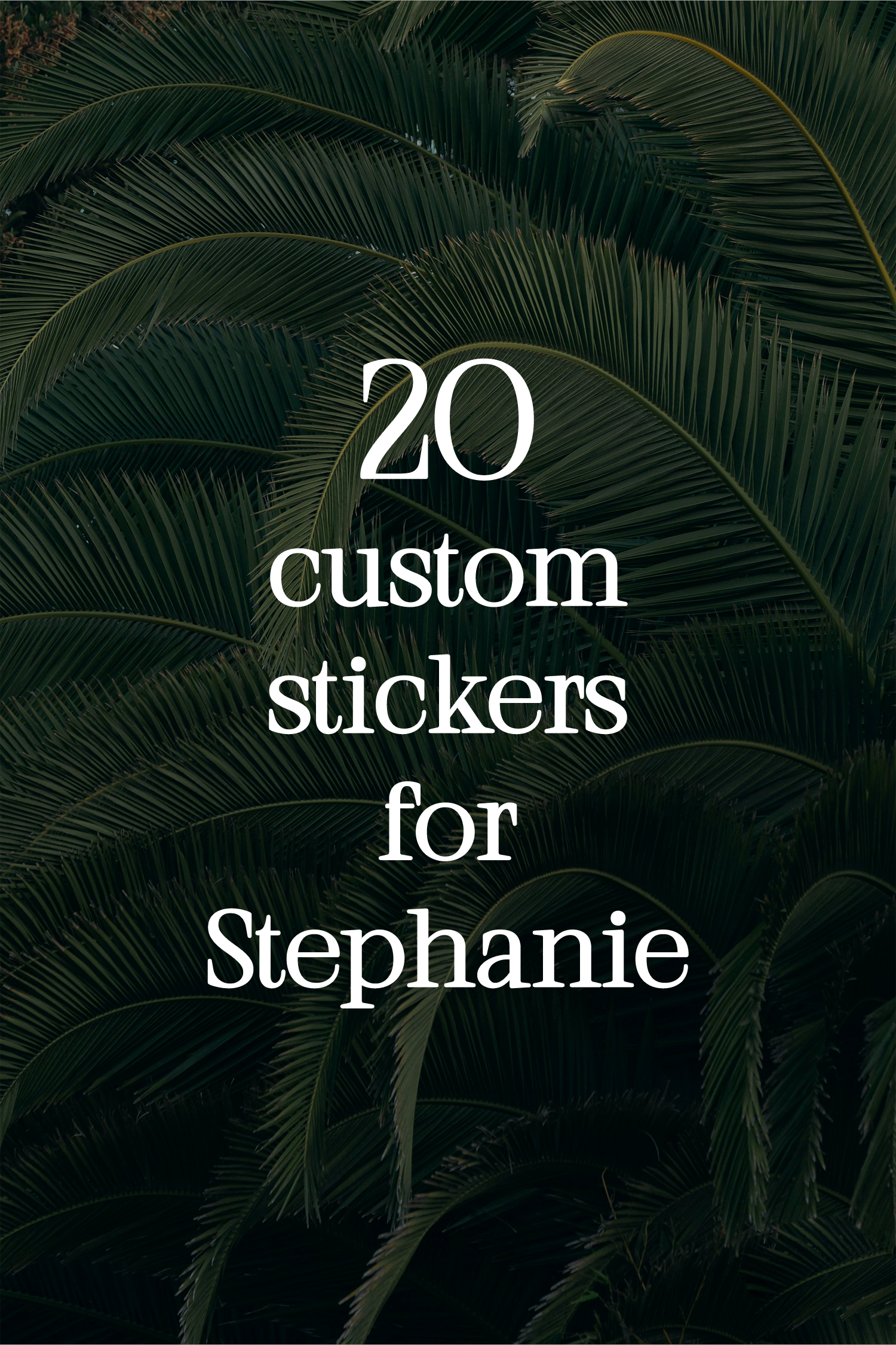 20 Custom Stickers for Stephanie