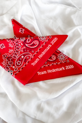 22 Custom Bandanas for Nancy