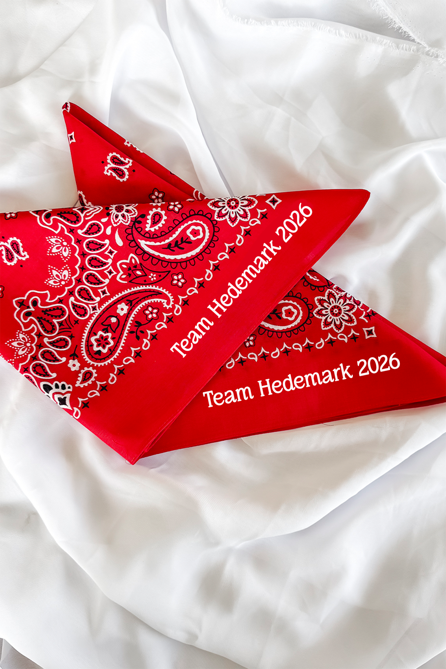 22 Custom Bandanas for Nancy